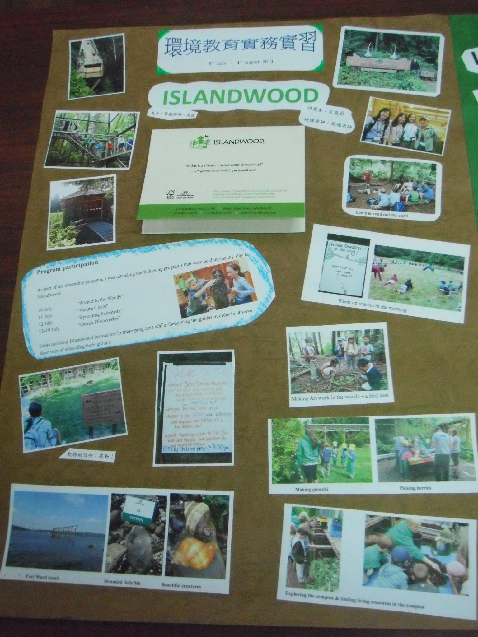 這是一張圖片 王愛莉-Islandwood