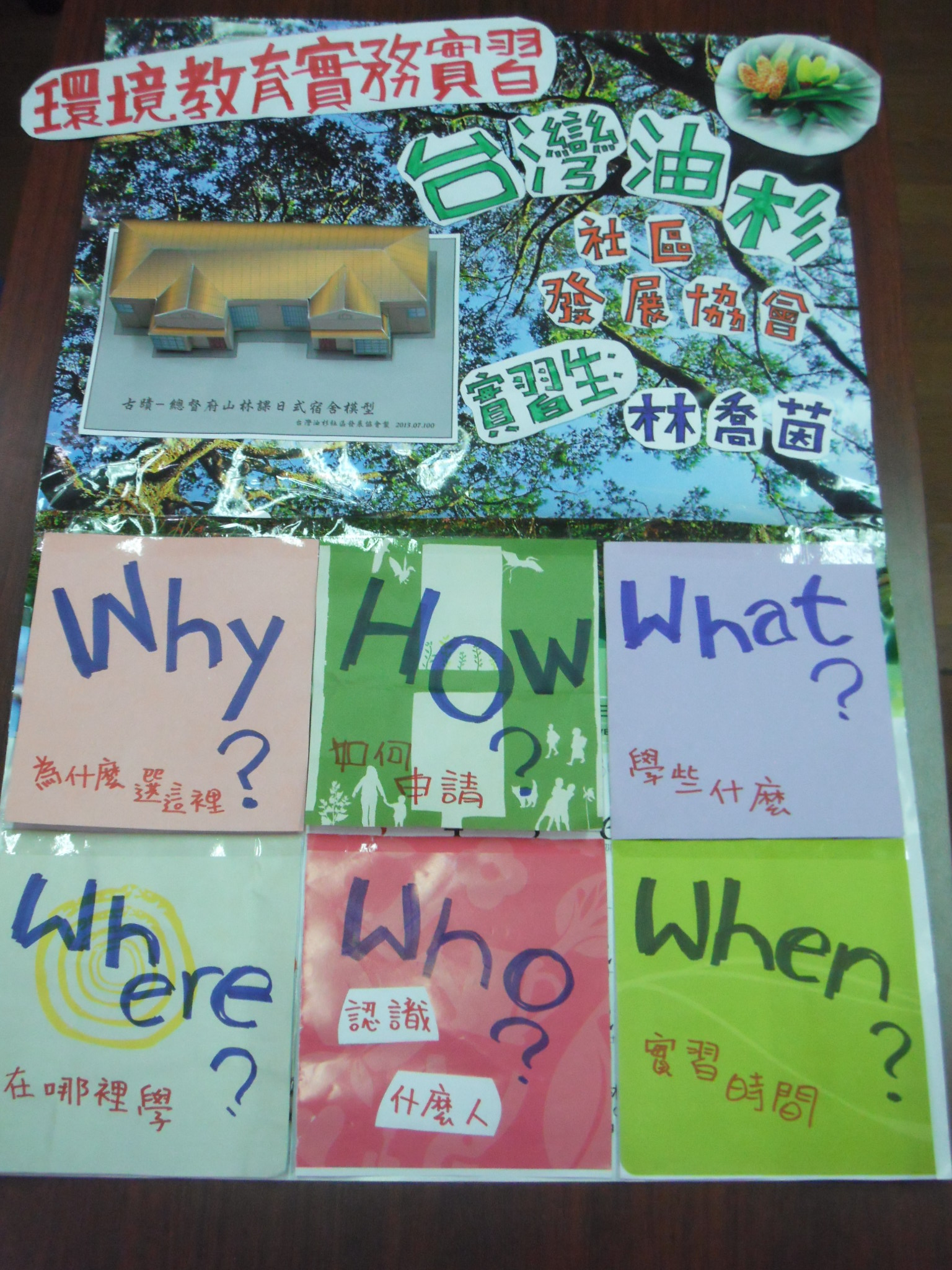 這是一張圖片 林喬茵-臺灣油杉社區發展協會