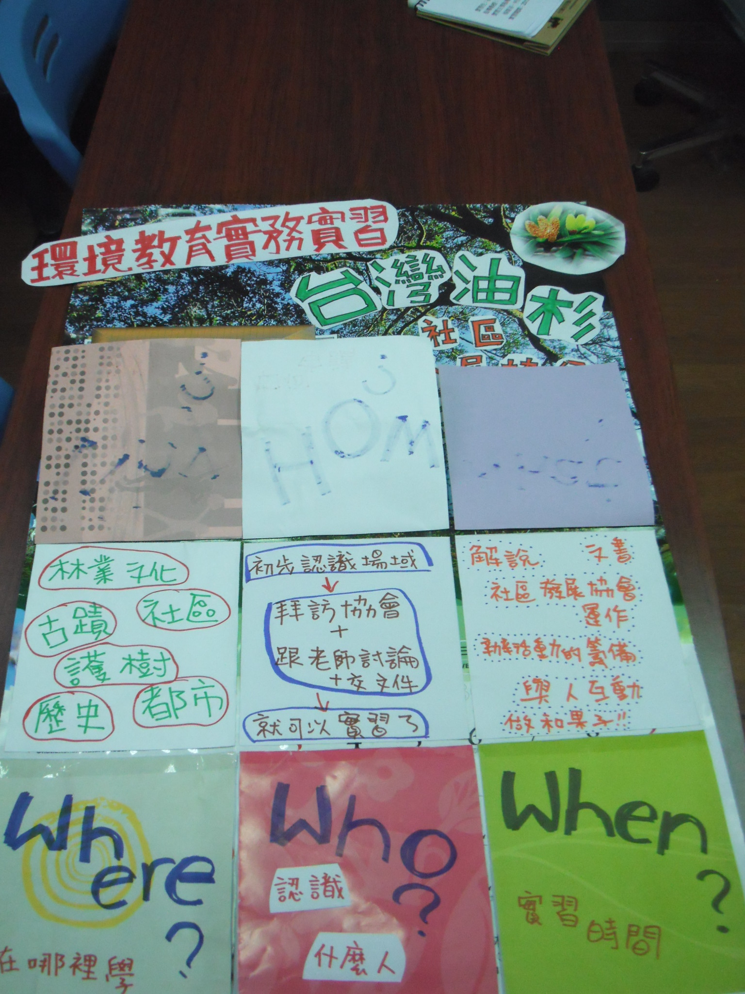這是一張圖片 林喬茵-臺灣油杉社區發展協會