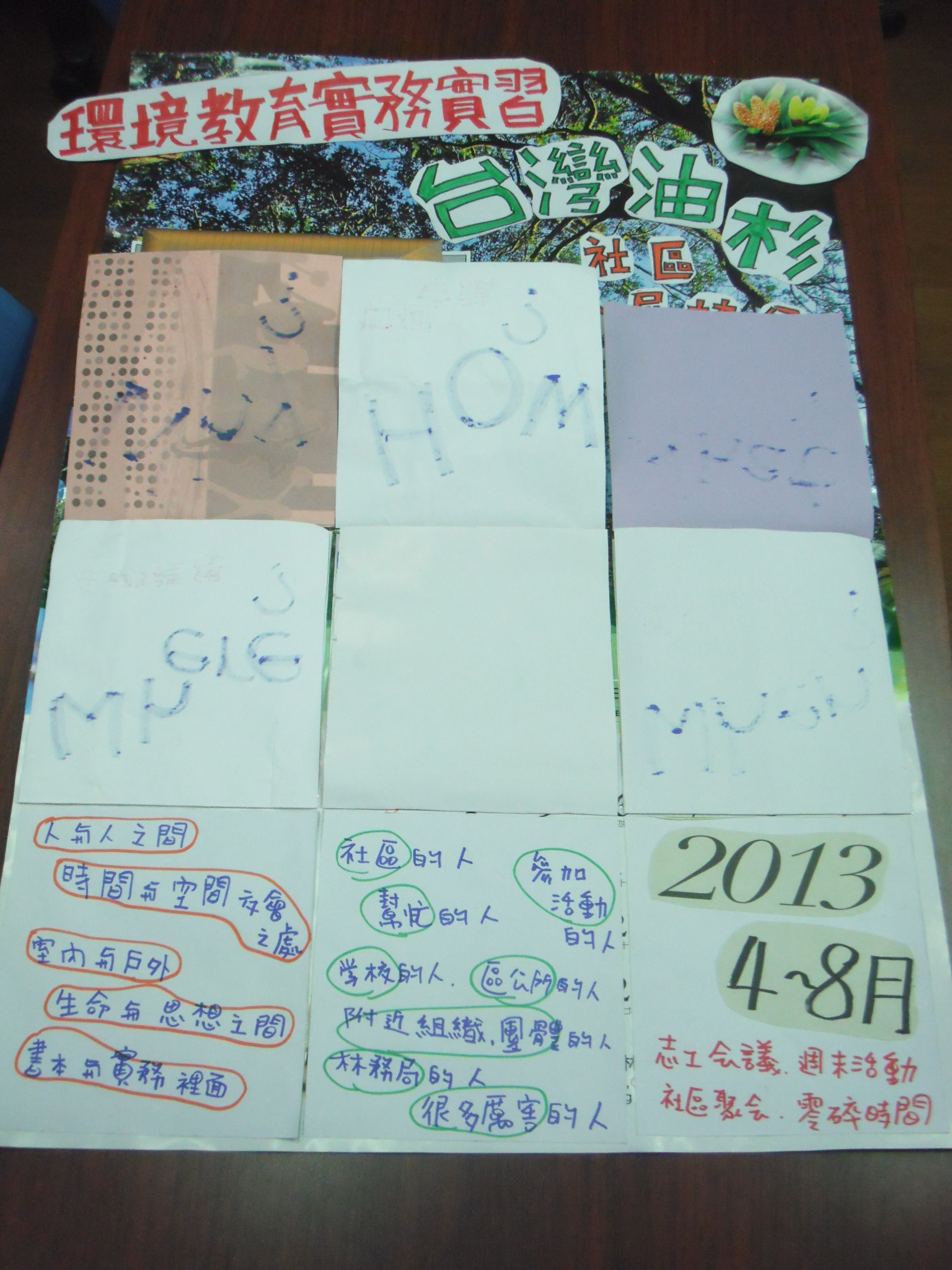 這是一張圖片 林喬茵-臺灣油杉社區發展協會3